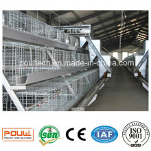 Poul-Tech Automatic Pullet Cage und Inkubatoren für Geflügelfarmen